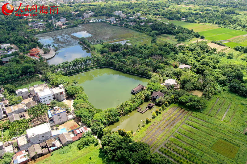 澄邁縣金江鎮(zhèn)塘口村水韻田園休閑農(nóng)莊鄉(xiāng)村旅游點(diǎn)。 人民網(wǎng) 孟凡盛攝