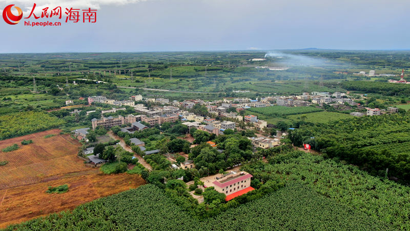 福山鎮(zhèn)敦茶村委會洋道村。 人民網(wǎng) 孟凡盛攝