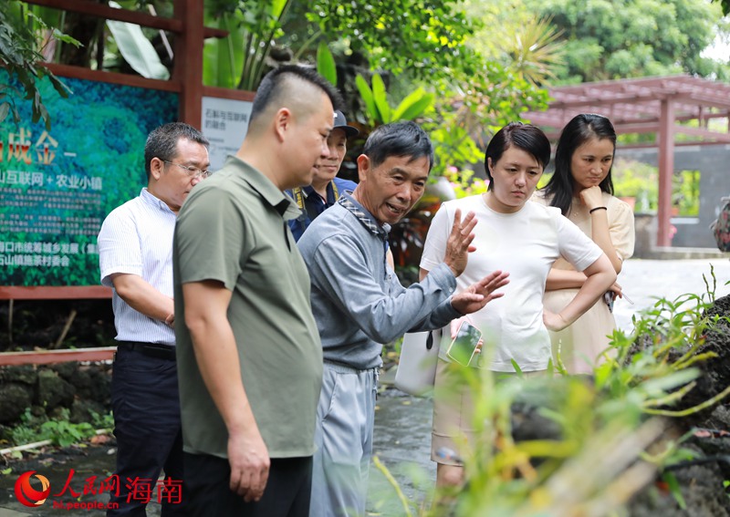 采訪團在石斛園里聆聽施茶村的振興故事。人民網(wǎng) 孟凡盛攝