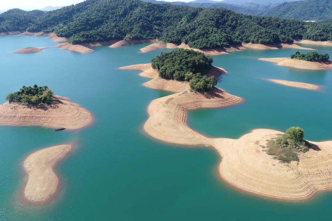 儋州：綠水青山松濤美