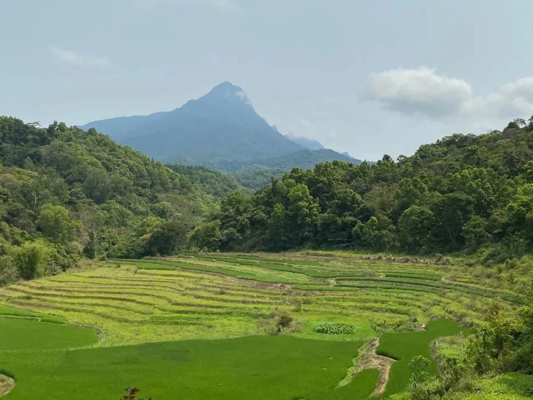 依托海南自貿(mào)港的政策、人才、環(huán)境等優(yōu)勢，海南森林康養(yǎng)產(chǎn)業(yè)的發(fā)展，未來可期。