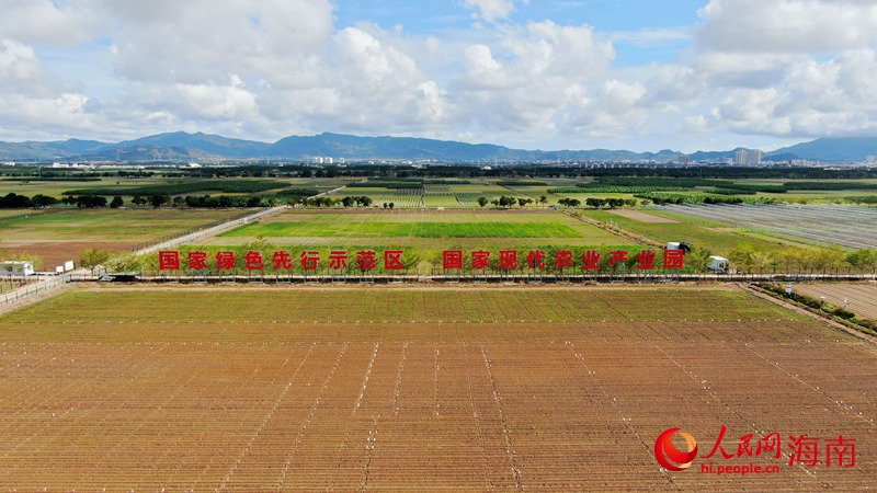 國(guó)家現(xiàn)代農(nóng)業(yè)產(chǎn)業(yè)園。人民網(wǎng) 符武平攝