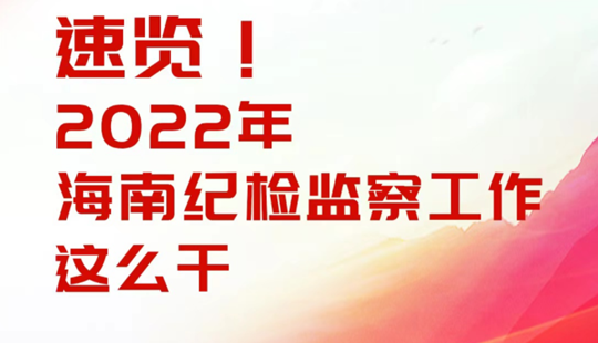 速覽！2022年海南紀檢監(jiān)察工作這么干