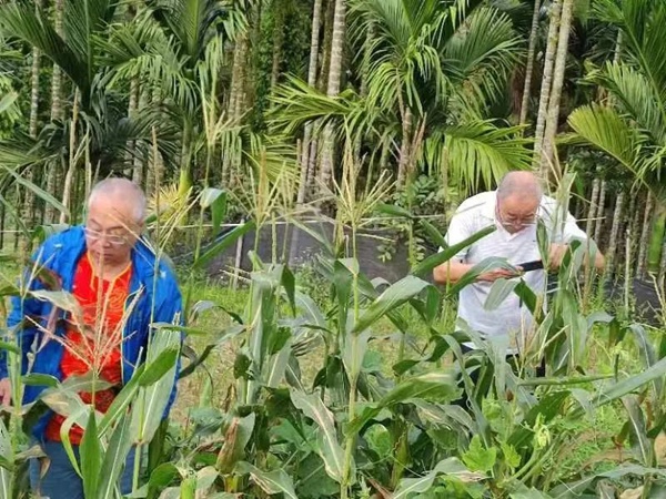 鴻雁“候鳥”人才工作站引進(jìn)項(xiàng)目迎來收獲