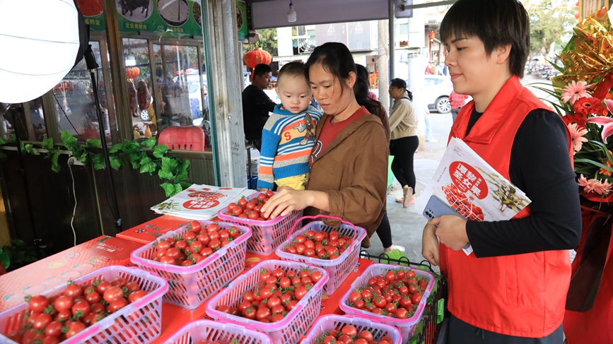 市民選購圣女果。胡雄飛攝