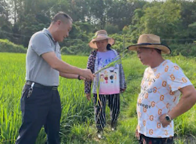 陳金雄：田間地頭送技解憂