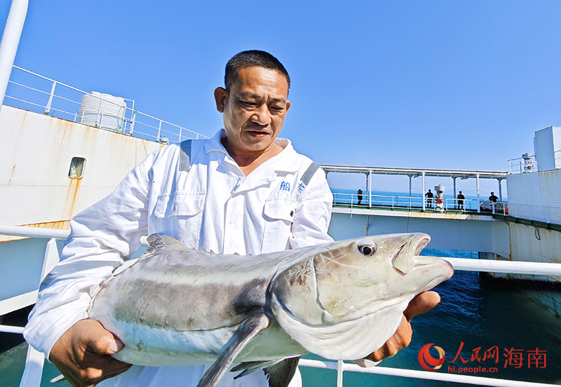 工作人員向記者展示剛出水的軍曹魚。人民網(wǎng)記者 牛良玉攝