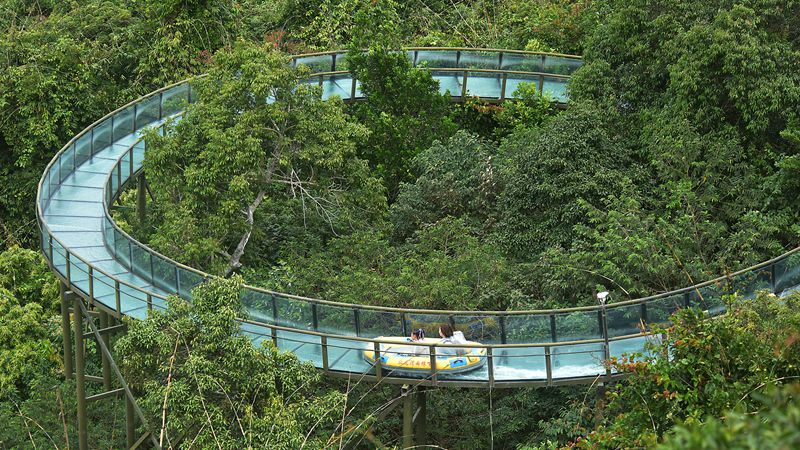 1月26日，寒假伊始，眾多游客漫步在亞龍灣熱帶天堂森林旅游區(qū)賞花觀景，登高望遠(yuǎn)，體驗(yàn)熱帶雨林游的樂(lè)趣，樂(lè)享暖冬三亞的美麗風(fēng)光。黃慶優(yōu)攝