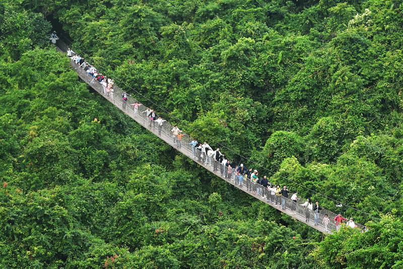 1月26日，寒假伊始，眾多游客漫步在亞龍灣熱帶天堂森林旅游區(qū)賞花觀景，登高望遠，體驗熱帶雨林游的樂趣，樂享暖冬三亞的美麗風(fēng)光。黃慶優(yōu)攝