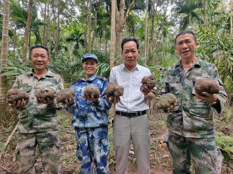 村民在種植基地里收獲猴頭菇。李俊杰供圖