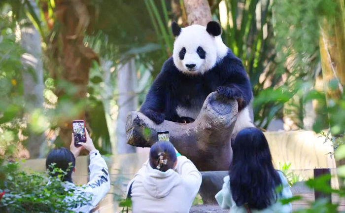 海南熱帶野生動植物園