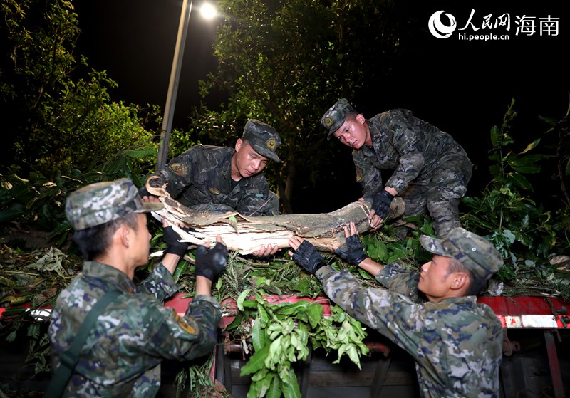 武警海南總隊(duì)海口支隊(duì)的官兵正在清理粗壯的樹(shù)干。人民網(wǎng)記者 符武平攝.JPG