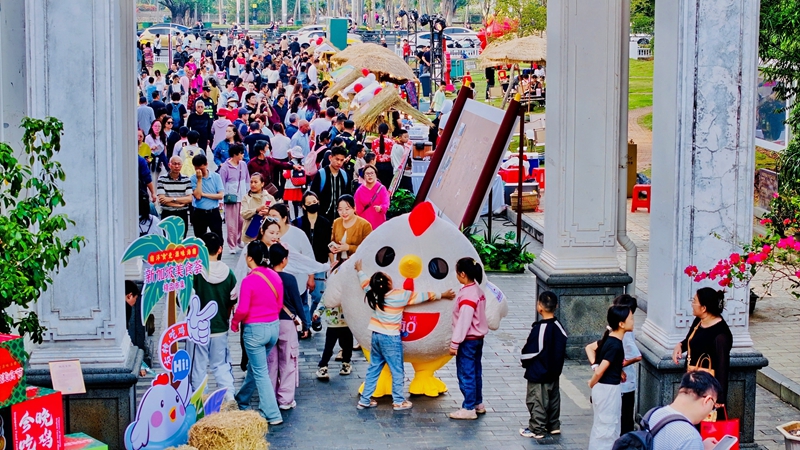 美食薈吸引了眾多市民游客。主辦方供圖