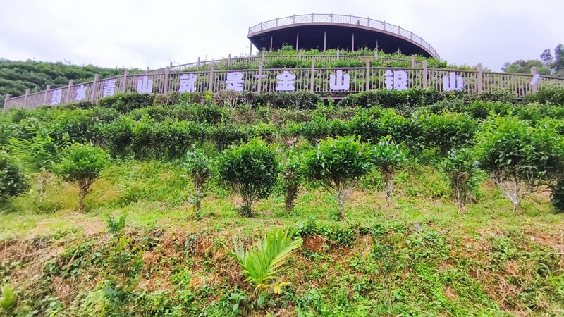 水滿鄉(xiāng)創(chuàng)建“綠水青山就是金山銀山”實踐創(chuàng)新基地。