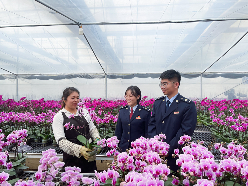 圖說：稅務(wù)干部走訪花卉種植企業(yè)，了解生產(chǎn)經(jīng)營情況，問計(jì)問需，助力年宵花卉紅火上市。攝影：陳晨